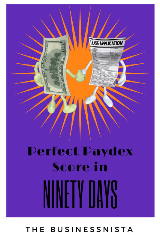 Perfect Paydex Score in 90 Days! Digital Workbook